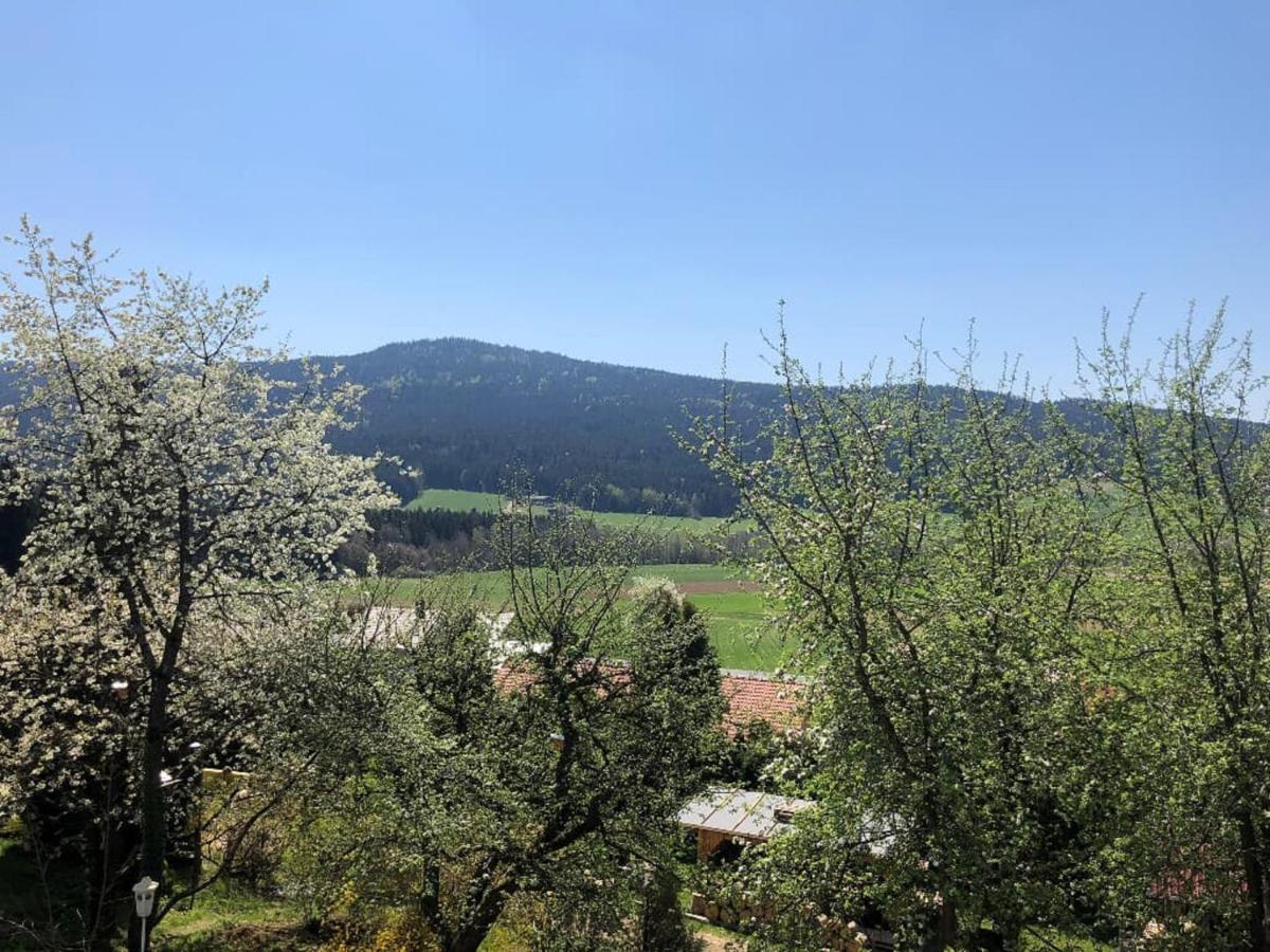 Hotel Steinbuehler Hof - Stressfrei Am Lande Kötzting Esterno foto
