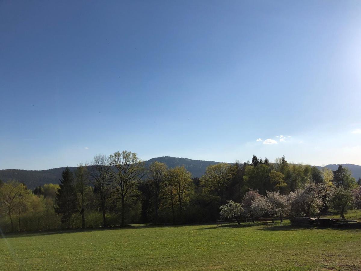 Hotel Steinbuehler Hof - Stressfrei Am Lande Kötzting Esterno foto