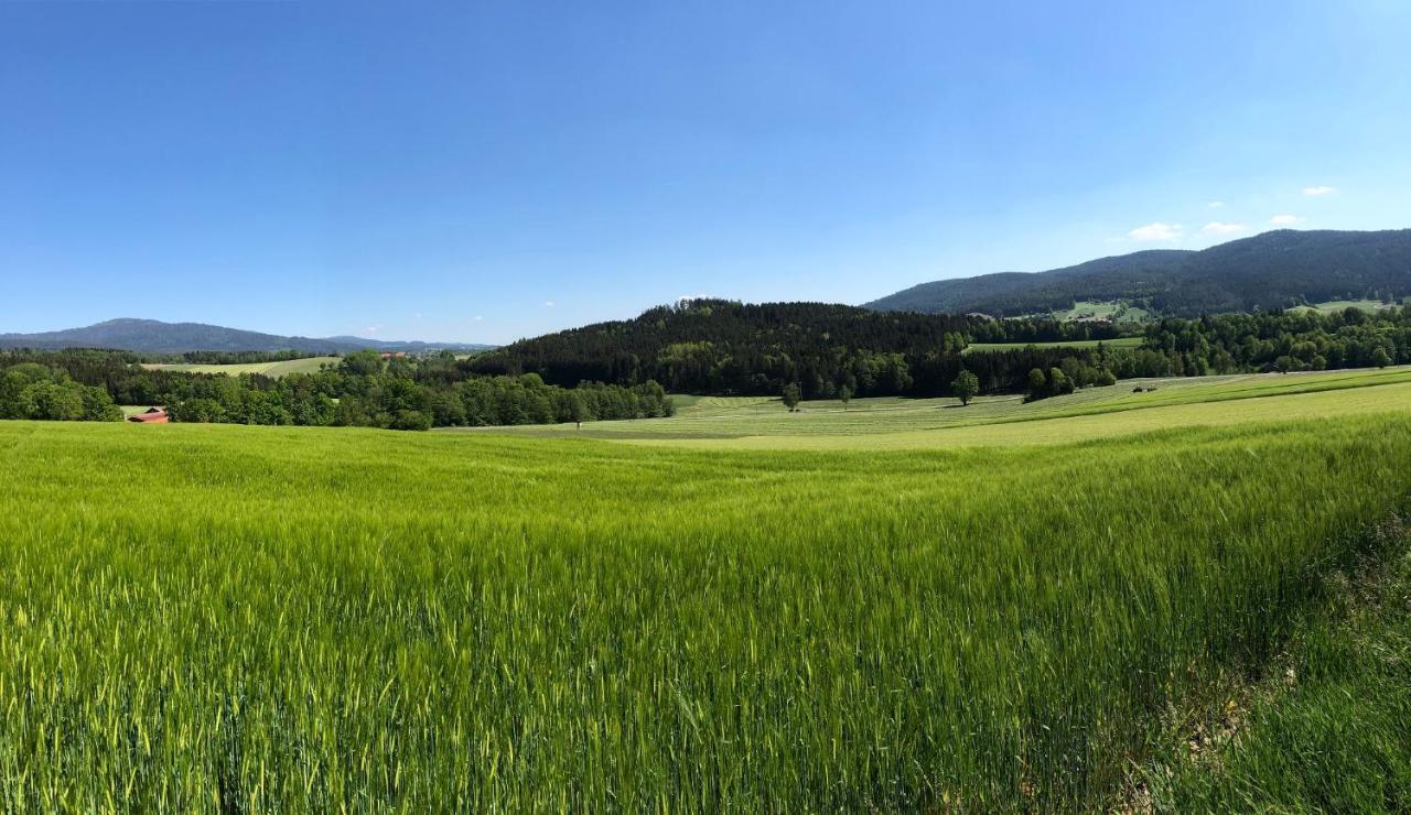 Hotel Steinbuehler Hof - Stressfrei Am Lande Kötzting Esterno foto